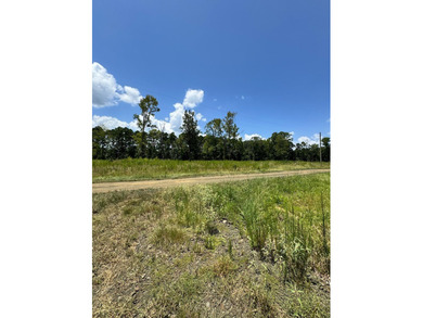 Build your dream home on these spacious lots and enjoy the - photo 8