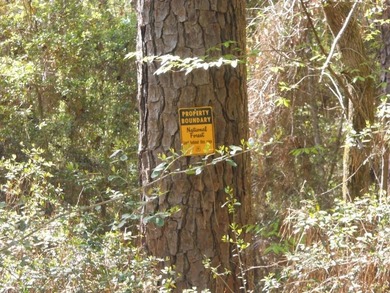 Escape to 15.73 acres of pure East Texas freedom- surrounded on - photo 2