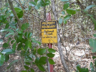 Escape to 15.73 acres of pure East Texas freedom- surrounded on - photo 3