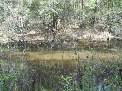 Escape to 15.73 acres of pure East Texas freedom- surrounded on - photo 4