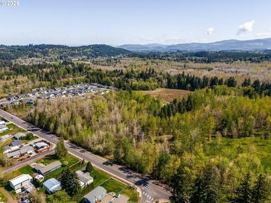 A rare 27-acre development opportunity. These three contiguous - photo 4