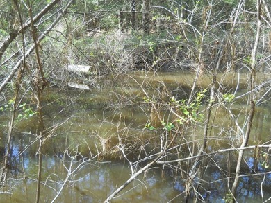 Escape to 15.73 acres of pure East Texas freedom- surrounded on - photo 5