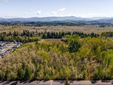 A rare 27-acre development opportunity. These three contiguous - photo 5