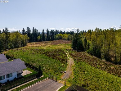 A rare 27-acre development opportunity. These three contiguous - photo 6
