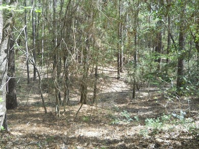 Escape to 15.73 acres of pure East Texas freedom- surrounded on - photo 8