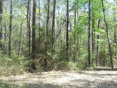 Escape to 15.73 acres of pure East Texas freedom- surrounded on - photo 9