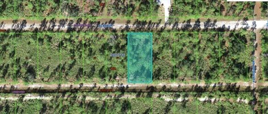 Lake Weohyakapka Lot For Sale in Indian Lake Estates Florida