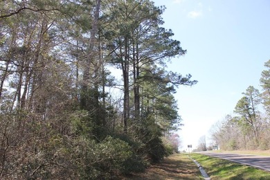 Discover 57 unrestricted acres close to Lake Sam Rayburn yet - photo 1
