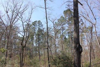 Discover 57 unrestricted acres close to Lake Sam Rayburn yet - photo 4