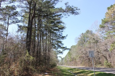 Discover 57 unrestricted acres close to Lake Sam Rayburn yet - photo 6