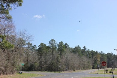 Discover 57 unrestricted acres close to Lake Sam Rayburn yet - photo 7