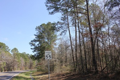 Discover 57 unrestricted acres close to Lake Sam Rayburn yet - photo 8
