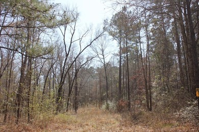 Discover 57 unrestricted acres close to Lake Sam Rayburn yet - photo 9