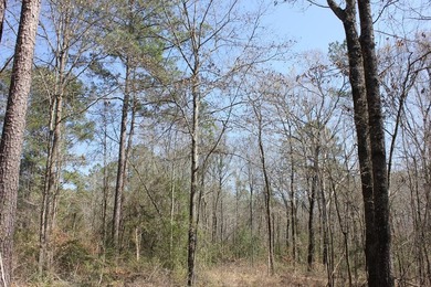 Discover 57 unrestricted acres close to Lake Sam Rayburn yet - photo 10