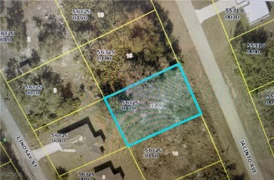 Lehigh Acres Area Lot For Sale in Lehigh Acres Florida