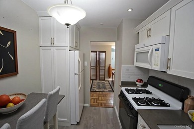 Highly Sought-After Park Chateau: Converted 2-Bedroom Junior 4 - photo 3