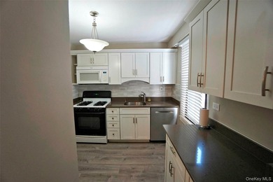 Highly Sought-After Park Chateau: Converted 2-Bedroom Junior 4 - photo 4