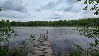 Lake Acreage For Sale in Blackwell, Wisconsin
