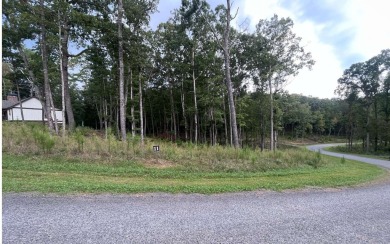 Lake Lot Sale Pending in Ellijay, Georgia