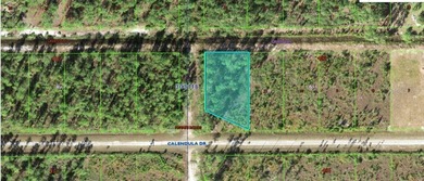 Lake Weohyakapka Lot For Sale in Indian Lake Estates Florida