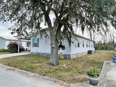 (private lake, pond, creek) Home For Sale in Winter Garden Florida