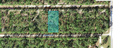 Lake Weohyakapka Lot For Sale in Indian Lake Estates Florida