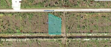 Lake Weohyakapka Lot For Sale in Indian Lake Estates Florida