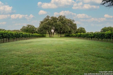Christoval Vineyards is a 25-acre, river front property in - photo 7