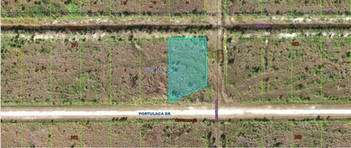Lake Weohyakapka Lot For Sale in Indian Lake Estates Florida