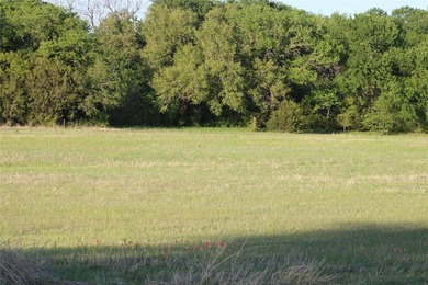 Welcome to your private retreat in the heart of Glen Rose - photo 4