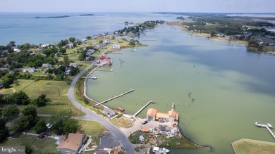 Escape to the unspoiled beauty of Hoopers Island, where peaceful - photo 4