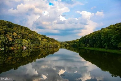 Welcome to Woodridge, where refined lake living meets modern - photo 45