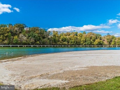 Welcome to Woodridge, where refined lake living meets modern - photo 48