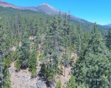 Price drop from 2024 listing. Motivated sellers look forward to - photo 4