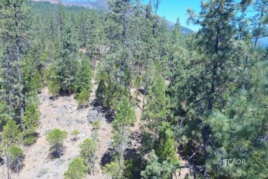 Price drop from 2024 listing. Motivated sellers look forward to - photo 10