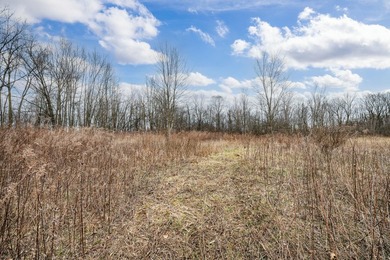 Build Your Dream Home on Long Lake in Cassopolis! Experience - photo 3
