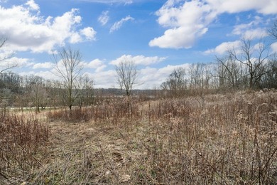 Build Your Dream Home on Long Lake in Cassopolis! Experience - photo 4