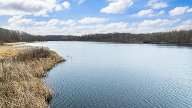 Build Your Dream Home on Long Lake in Cassopolis! Experience - photo 5