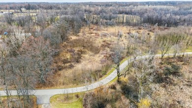 Build Your Dream Home on Long Lake in Cassopolis! Experience - photo 7