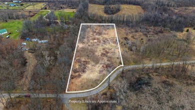 Build Your Dream Home on Long Lake in Cassopolis! Experience - photo 8