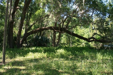 REDUCED to SELL!   Large lot with well & septic (not guaranteed) - photo 14