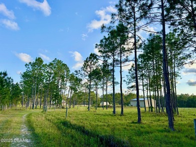 (private lake, pond, creek) Acreage For Sale in Ormond Beach Florida