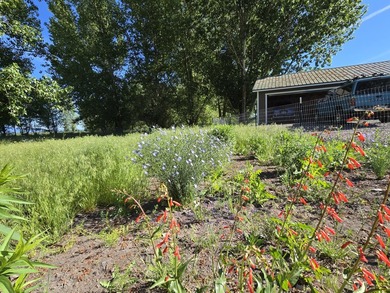 This Private & Secluded 23-Acre Retreat located within the area - photo 23