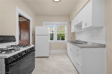 Charming triplex in the heart of Lakewood, Ohio! This - photo 28