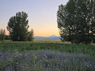 This Private & Secluded 23-Acre Retreat located within the area - photo 28