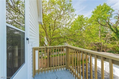 Charming triplex in the heart of Lakewood, Ohio! This - photo 32