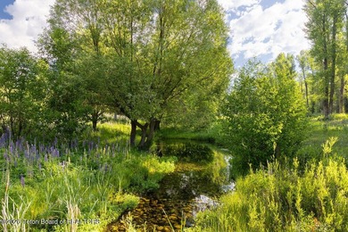 Situated on arguably the best parcel in Crescent H Ranch with - photo 32
