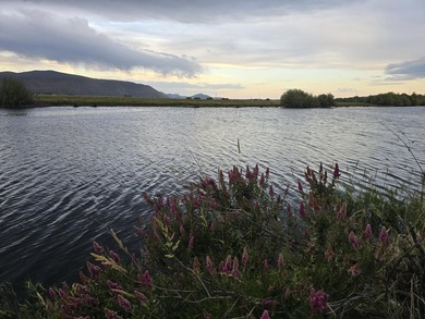 This Private & Secluded 23-Acre Retreat located within the area - photo 34