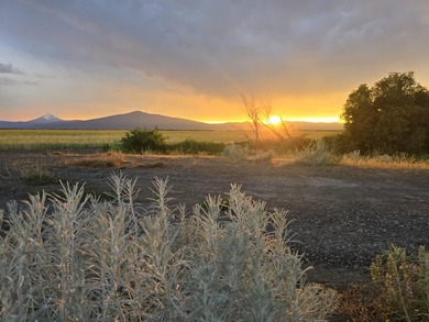 This Private & Secluded 23-Acre Retreat located within the area - photo 35