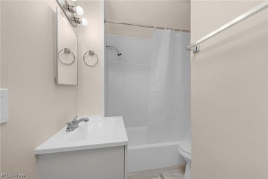Charming triplex in the heart of Lakewood, Ohio! This - photo 36